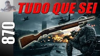 Tudo que sei: 870 (DOZERO)