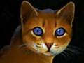Warrior Cats Movie Preview