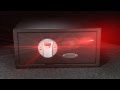 Fingerprint Scanning Biometric Safes by Barska