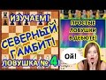 Простые шахматные ловушки в дебюте "Северный гамбит"! https://youtu.be/pUolpIlWwOA