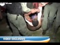 Policía le da cartuchazo a un ladrón (En vivo)