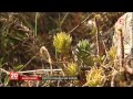 Reportage France 2