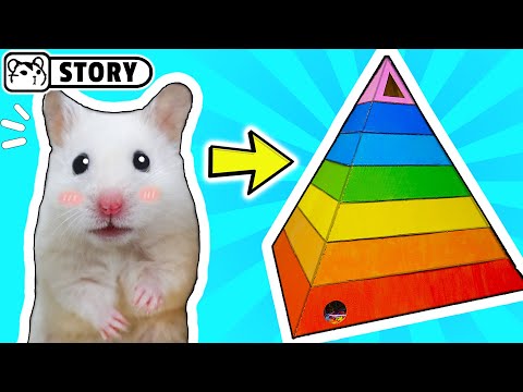 My Funny Pet Hamster in Rainbow Pyramid Maze / Hamster Pyramid Playground