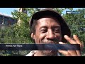 Ирокез высотой более метра
