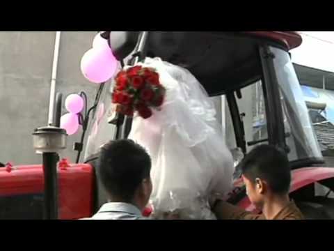 الزفاف بمسيرة جرارات زراعية 