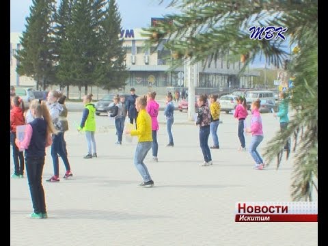 В Искитиме провели флешмоб по правилам дорожного движения