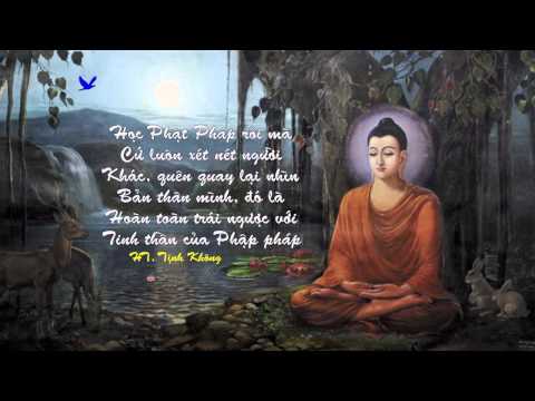 Lời Dạy Của Thầy Tịnh Không