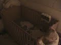 Baby escaping from cot