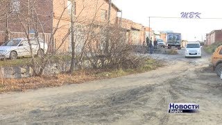 Бердчанин выступил против сноса деревьев в ГСК «Орбита»
