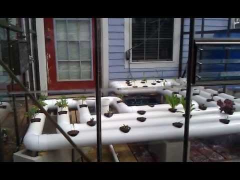 Unique aquaponics setup with boat fish tank - YouTube