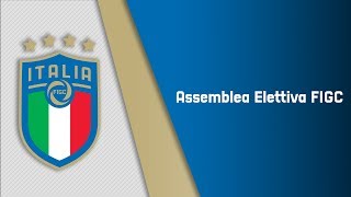 Assemblea Elettiva FIGC