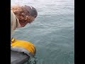 Chinook salmon catch and release