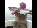 Chinook salmon catch and release