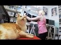 VLOG #09  LA QUETE DU BUREAU PARFAIT ! (Vid?o tr?s int?ressante sauf ? un moment)