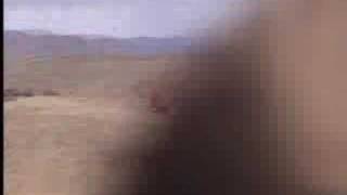 Thunder Mustang