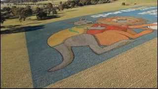 #rootingforoz  |  World's Largest Painted Sign  |  Lions Tour 2013