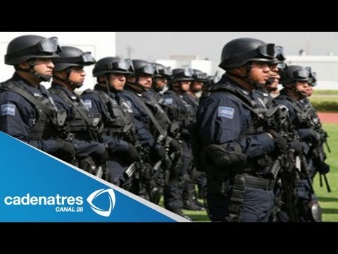 ENTRENAMIENTO POLICIA VIDEO entrenamiento policia video: