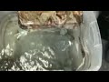 DIY Camo Dip Kit - At home Hydro Camo Dipping