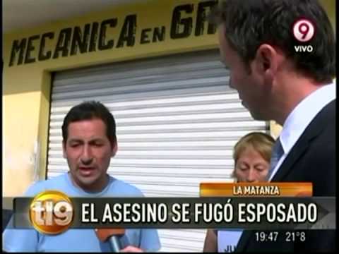 O que é necessário para um gato de vermes