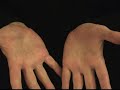 20th Century Fox Fanfare, played on the hands