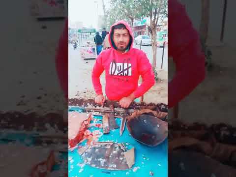 Funny fish