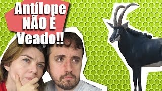 TODO MUNDO FAZ IDIOTICE! - Ep. 25