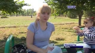 Каждый год в сентябре в нашей области, и в Бердске в частности, стартует сезонная вакцинация от гриппа