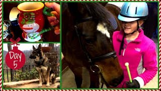 Vlogmas 2013 ❄ Day 5 Going to the Barn with Jelly!