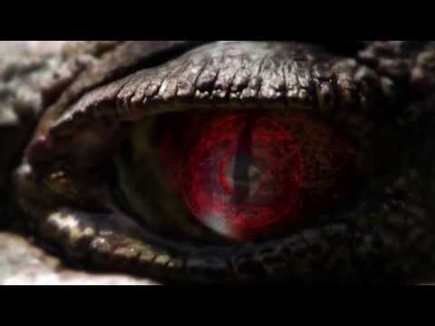 fallback-one-image-5712