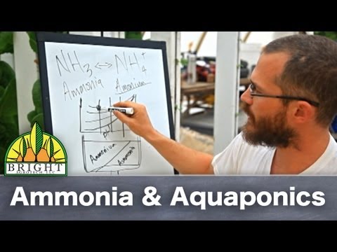 Ammonia &amp; Aquaponics - YouTube