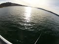 Go Pro Lunker Punker Swimbait Castaic Lake Striper Action