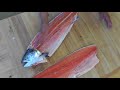 How to butcher whole salmon- How to Fillet a fish-How to deboned salmon-How to clean salmon