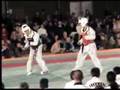 taekwondo demo nuit des arts martiaux combat plastron