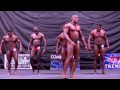 2013 Midwest Muscle Men OVERALL