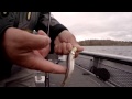 Tony Roach Fishing Report - May 2014