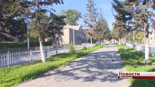 В Искитиме на Советской убрали 6 берез, на Комсомольской высадили 6 елей