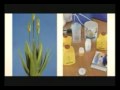 Thumbnail 1 for Forever Living Produtos Naturais Thumbnail 1 for Forever Living Produtos Naturais