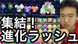 【パズドラ】集結！進化ラッシュ！！