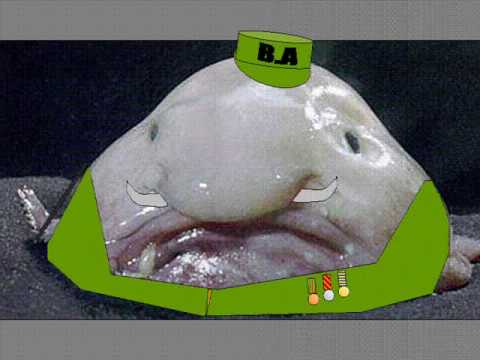 blob fish toys