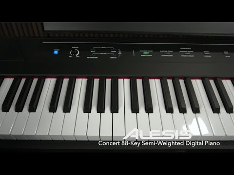 video Alesis Concert Review