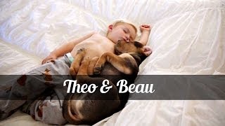 Theo and Beau by Anna Mayer Films