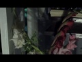Reynold Reynolds - Secret Machine