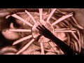 Marco Borsato - Dichtbij (official video)