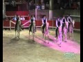 Les Gardians de Crau carrousel Eyguières 13.07.11