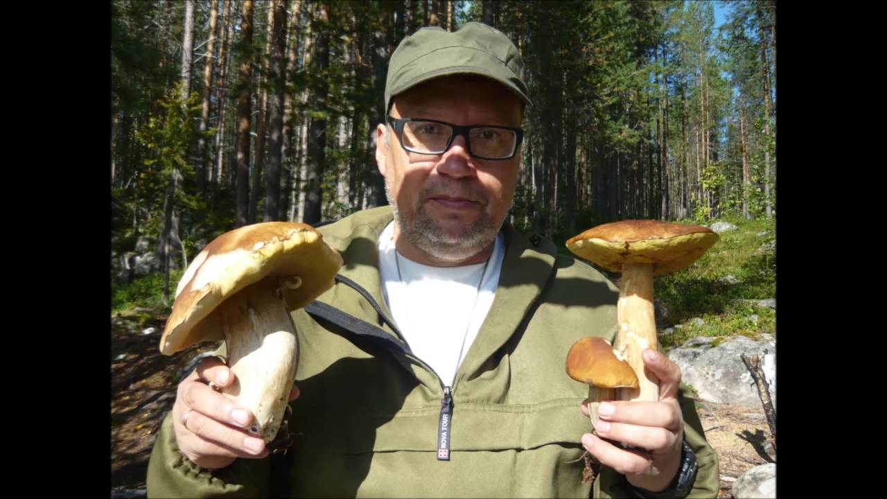 рыбалка на ковдозере мурманской области рыбалка на ковдозере мурманской области
