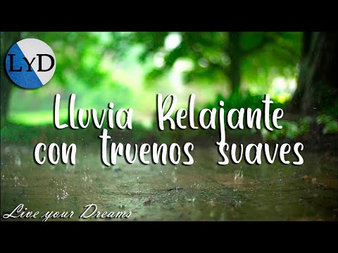 Download 8 Horas de Sonidos de Lluvia y Truenos: Sonidos de la Naturaleza para Dormir, Relajarse, Estudiar HD