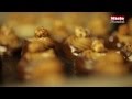 Bajor mandulás bonbon recept Bajor mandulás bonbon recept