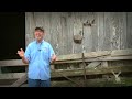 Bow Hunting Deer: Early Season Bow Kills