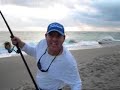 GIANT Jack Crevalle from the surf