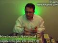 Video Horscopo Semanal CAPRICORNIO  del 13 al 19 Enero 2008 (Semana 2008-03) (Lectura del Tarot)